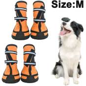 Chaussures pour chien protection des pattes avec semelle
