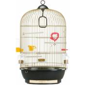 Diva Cage à Oiseaux diva : Design italien, accessoires inclus. Offrez à vos oiseaux le luxe et la sécurité.. Variante diva - Mesures: ø 40 x 65 cm