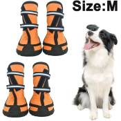 Fortuneville - Chaussures pour chien protection des