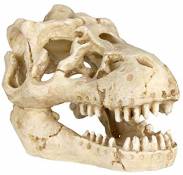 TRIXIE 8793 Crâne 8-11 cm