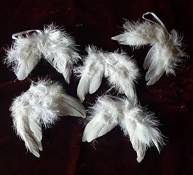WERBUNGkreativ Lot de 5 ailes d'ange en plumes 9 x