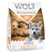 5kg Wolf of Wilderness Junior Soft Wide Acres, poulet