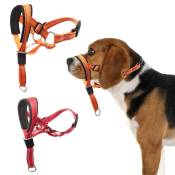 Ahlsen - Collier de tête pour chien, licou sans traction avec rembourrage doux, outil d'entraînement durable et réfléchissant pour chiens de taille