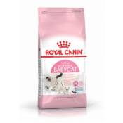 Croquettes pour chatons royal canin babycat 34 sac