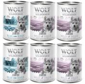 Little Wolf of Wilderness 6 x 400 g pour chiot - Lot
