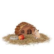 Maison de hamster en bois, avec fond, maison de rongeur,