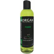 Morgan - Shampoing protéiné Pomme : 250 ml