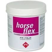 Horse flex msm à l'arnica pour les problèmes articulaires