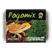 Nourriture pour Reptile Agame barbu Pogo Mix Graines à Germer REPTILES-PLANET