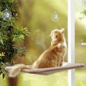 Shop-story - cat bed : Hamac de Fenêtre pour Chat