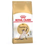 10kg Siamese Royal Canin Croquettes pour chat