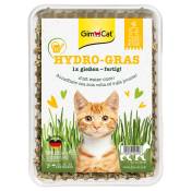 3x150g Hydro-Gras GimCat Herbe à chat - Compléments