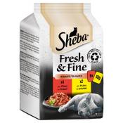 6x50g Sheba Délices du jour Fresh & Fine, Boeuf et poulet en sauce - Pâtée pour chat