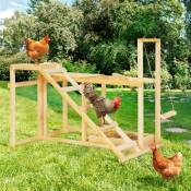 Aire de jeux en bois XXL pour poules avec balançoire perchoir échelle bain de poussière