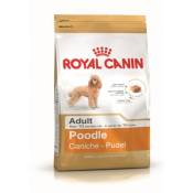 Croquettes royal canin caniche 30 adulte sac 1,5 kg