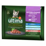 Sachets Ultima pour chat : 80 x 85 g + 16 x 85 g offerts