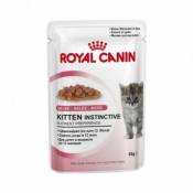 Royal canin - kitten instinctive gelée - 12 sachets