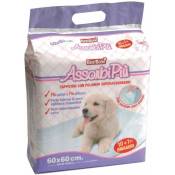 Bestbone - Absorption plus tapis absorbants pour chiens avec coins adhésifs