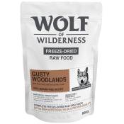 Wolf of Wilderness Gusty Woodlands bœuf, cabillaud, dinde pour chien - 800 g