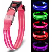 Collier Chien Lumineux Rechargeable 100% Waterproof
