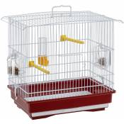 Ferplast - giusy Cage pour canaris et autres petits oiseaux. Variante giusy - Mesures: 39 x 26 x h 37 cm -