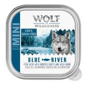 Wolf of Wilderness Adult 6 x 150 g en barquettes pour