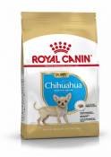 Nourriture Chihuahua Junior 1.5 Kg Royal Canin