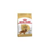 Royal Canin - Nourriture que Cocker Adulte Race Cocker
