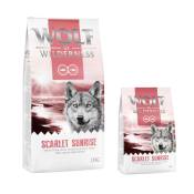 12kg Scarlet Sunrise saumon, thon Wolf of Wilderness - Croquettes pour chien + 2 kg offerts !