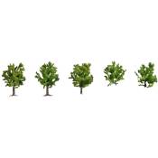 25610 Assortiment darbres arbre fruitier 80 mm (max) 5 pc(s) - Noch