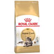 2x10kg Maine Coon Royal Canin Croquettes pour chat