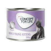 6x200g Mum & Young Kittens Mousse Concept for Life - Pâtée pour chatte et chaton
