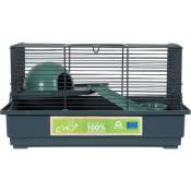 Cage 40 souris, 39 x 26 x hauteur 22 cm, verte pour souris - animallparadise - Vert