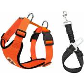 Ensemble harnais et laisse, harnais de gilet en tissu respirant orange ajustable multifonction avec ceinture de sécurité, Tour de poitrine de 13,5 à