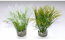 Sydeco Nano Green Plante H:10cm