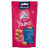 Vitakraft Cat YUMS - Saumon