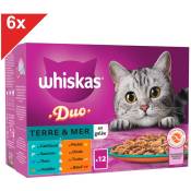 Whiskas - Duo 72 Sachets fraîcheur en gelée 4 variétés pour chat 85g (6x12)