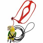 1pc Pet Bird Harnais Réglable Perroquet Bird Line