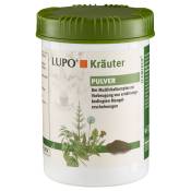 2x1kg LUPO Kräuter en poudre - pour chien
