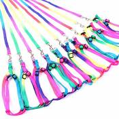 Colorful Pet Leash Harness Rope Chain Belle Rainbow