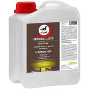 Bronchial Elixir - élixir pour les bronches 1 l avec toute la puissance des extraits naturels d'herbes - Leovet