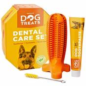 Natural Dog Treats Brosse à Dents et Dentifrice Kit