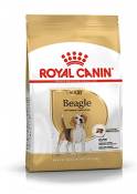 ROYAL CANIN/BEAGLE ADULT sac de 3 kg croquettes pour