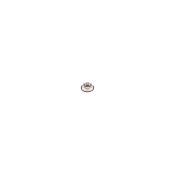 Trixie - Gamelle, en acier inoxydable, anneau caoutchouc