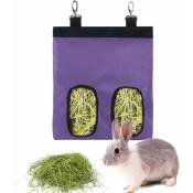 Fortuneville - Rabbit Bag Sac d'alimentation pour cochons d'Inde pour petits animaux (2 fenêtres, violet)