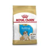 Nourriture que Royal Canin Bulldog chiot chiot (junior)