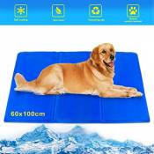 Forever Speed Tapis Rafraichissant pour Chien/Chat