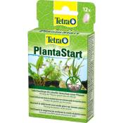 PlantaStart fertilisant pour plantes d'aquarium 12