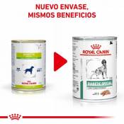 12x410 GR Royal Canin Nourriture Humide Diabetic Special