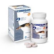 40 comprimés Cosequin Taste HA Complément chondroprotecteur pour chien - Complément pour chien